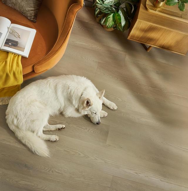 Trend na spokój. Arbiton pokazuje, jak będzie wyglądać podłoga w 2026 roku